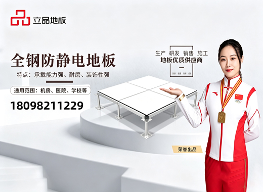 广东立品地板广州线上分站
